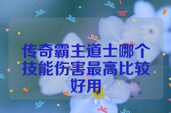 传奇霸主道士哪个技能伤害最高比较好用