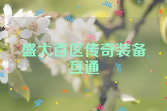 盛大百区传奇装备互通