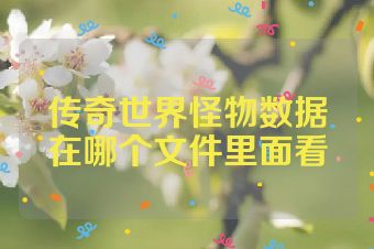 传奇世界怪物数据在哪个文件里面看