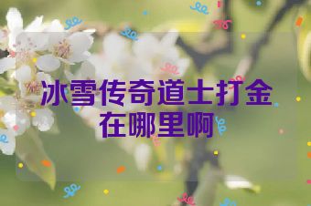 冰雪传奇道士打金在哪里啊