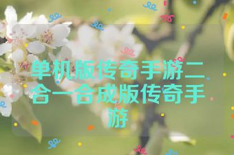 单机版传奇手游二合一合成版传奇手游