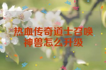 热血传奇道士召唤神兽怎么升级