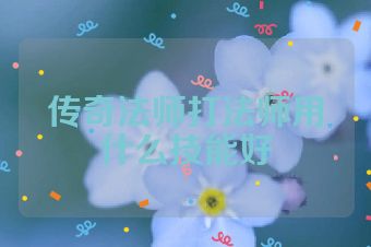传奇法师打法师用什么技能好