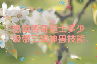 热血传奇道士多少级带三级神兽技能