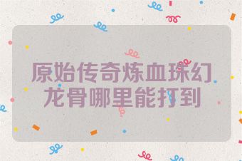 原始传奇炼血珠幻龙骨哪里能打到