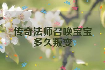 传奇法师召唤宝宝多久叛变