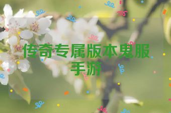传奇专属版本鬼服手游