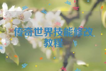 传奇世界技能修改教程