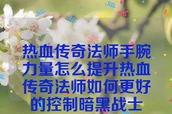 热血传奇法师手腕力量怎么提升热血传奇法师如何更好的控制暗黑战士