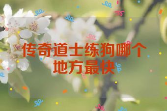 传奇道士练狗哪个地方最快