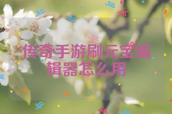 传奇手游刷元宝编辑器怎么用
