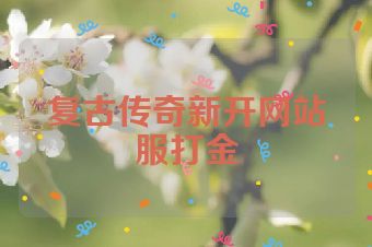 复古传奇新开网站服打金