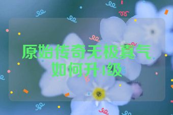 原始传奇无极真气如何升4级