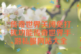 传奇世界关闭免打扰功能传奇世界手游私服网站大全