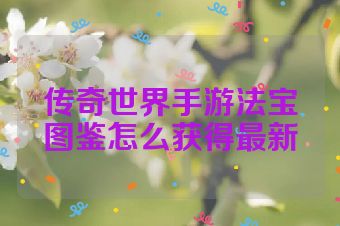 传奇世界手游法宝图鉴怎么获得最新