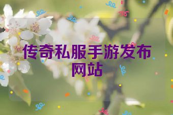 传奇私服手游发布网站