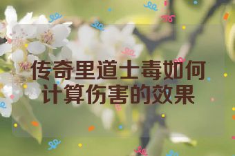 传奇里道士毒如何计算伤害的效果