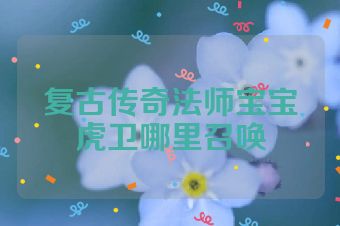 复古传奇法师宝宝虎卫哪里召唤
