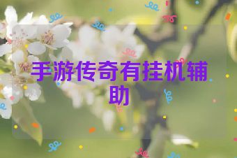 手游传奇有挂机辅助