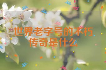 世界老字号的不朽传奇是什么