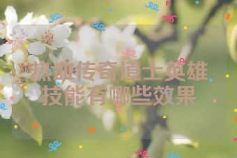 热血传奇道士英雄技能有哪些效果
