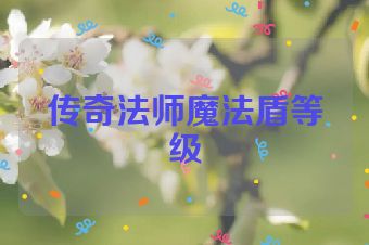 传奇法师魔法盾等级