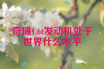 奇瑞1.6t发动机处于世界什么水平