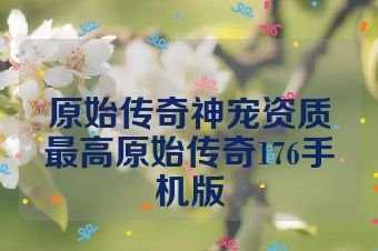 原始传奇神宠资质最高原始传奇176手机版