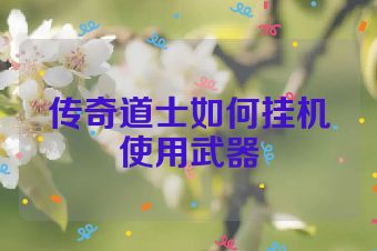 传奇道士如何挂机使用武器