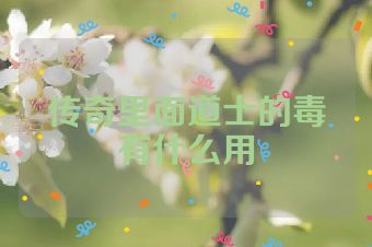 传奇里面道士的毒有什么用
