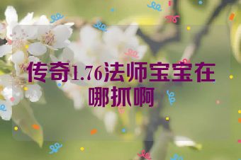 传奇1.76法师宝宝在哪抓啊