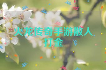 火龙传奇手游散人打金