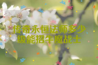 传奇永恒法师多少级能招牛魔战士