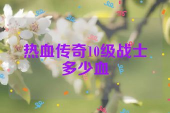 热血传奇10级战士多少血