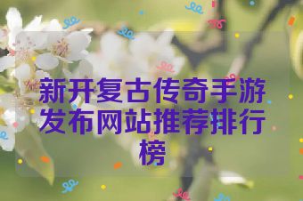 新开复古传奇手游发布网站推荐排行榜