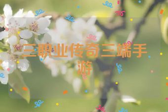 三职业传奇三端手游