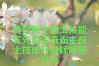 传奇霸主战士技能优先级传奇霸主战士技能升级顺序是什么