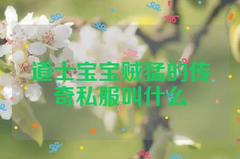 道士宝宝贼猛的传奇私服叫什么