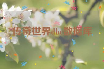 传奇世界dbc数据库