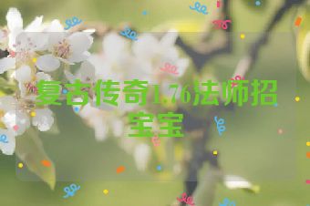 复古传奇1.76法师招宝宝