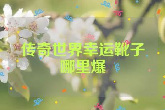 传奇世界幸运靴子哪里爆
