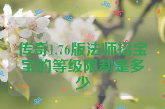 传奇1.76版法师招宝宝的等级限制是多少