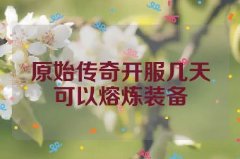 原始传奇开服几天可以熔炼装备