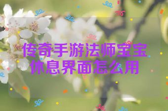 传奇手游法师宝宝休息界面怎么用