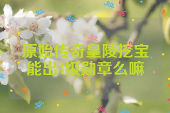 原始传奇皇陵挖宝能出4级勋章么嘛