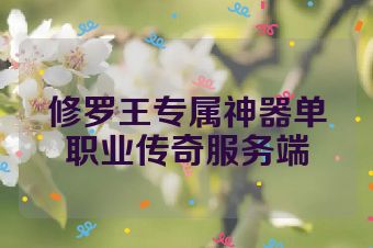 修罗王专属神器单职业传奇服务端