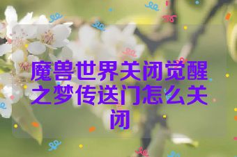 魔兽世界关闭觉醒之梦传送门怎么关闭