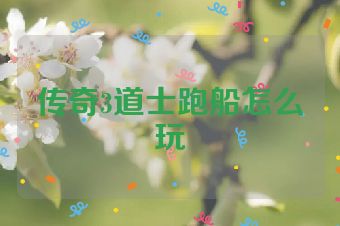 传奇3道士跑船怎么玩