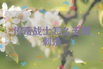 传奇战士怎么无限刺杀