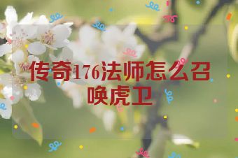 传奇176法师怎么召唤虎卫